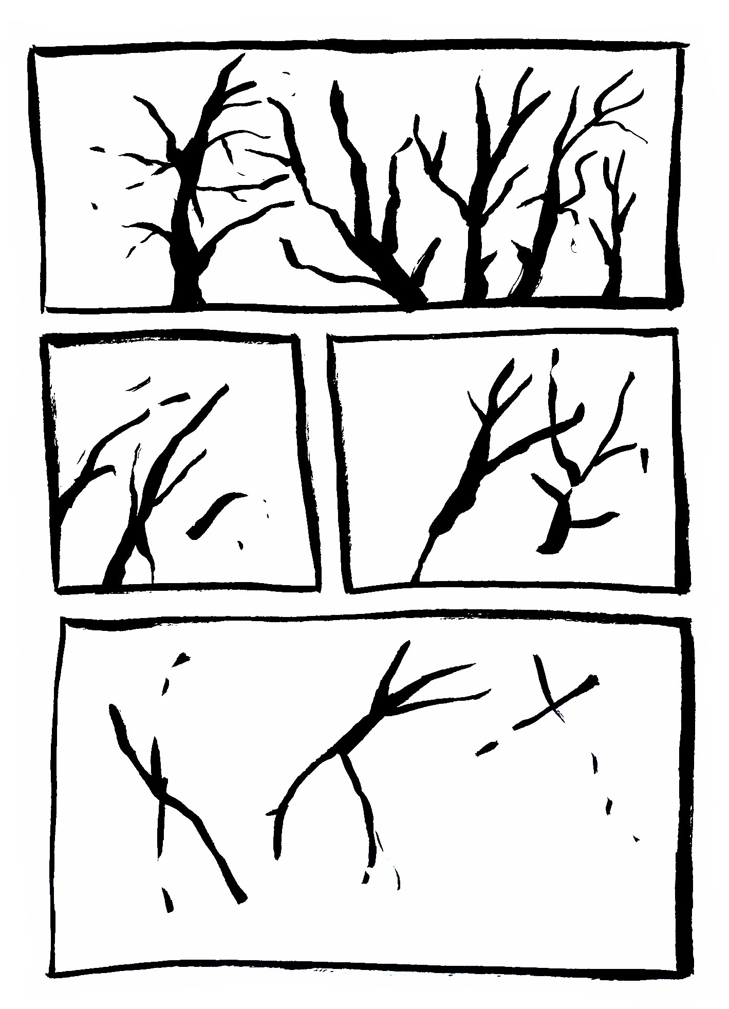If trees could dream...